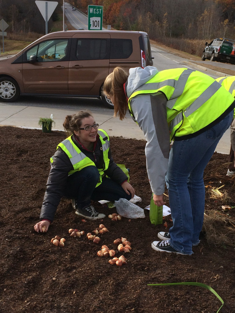 Featured image of article: Envirothon Team Helps Spruce Up Roundabout