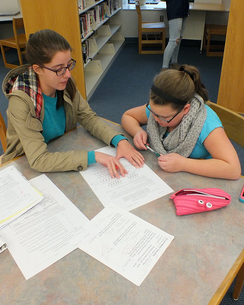 Featured image of article: During TASC, Peer Tutoring Is An Option