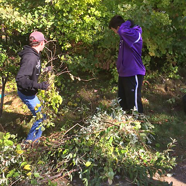 Featured image of article: Students Pitch In To Control Invasive Plant Species