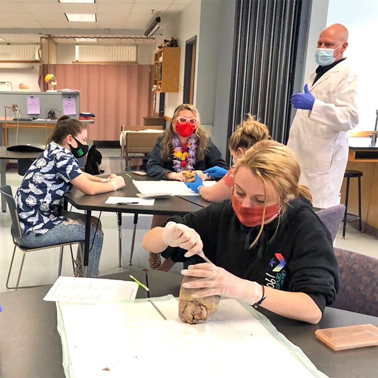 Featured image of article: Anatomy And Physiology II Students Dissect Pig Hearts