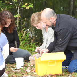 Featured image of article: Assessment Of Freshman Pond Ecology By Biology Class
