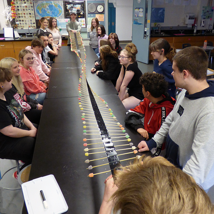 Featured image of article: Physical Science Students Learn About Wave Mechanics